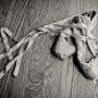 Pointe Shoes