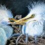 Young Egrets by Don Clark